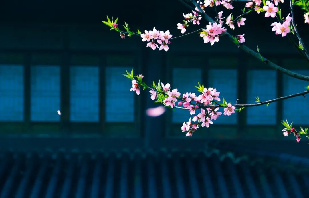 王勃的诗10首，值得细细品读!