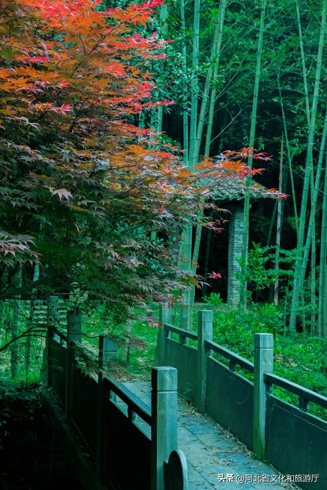 秋分诗词10首，秋思自此浓，秋色自此分