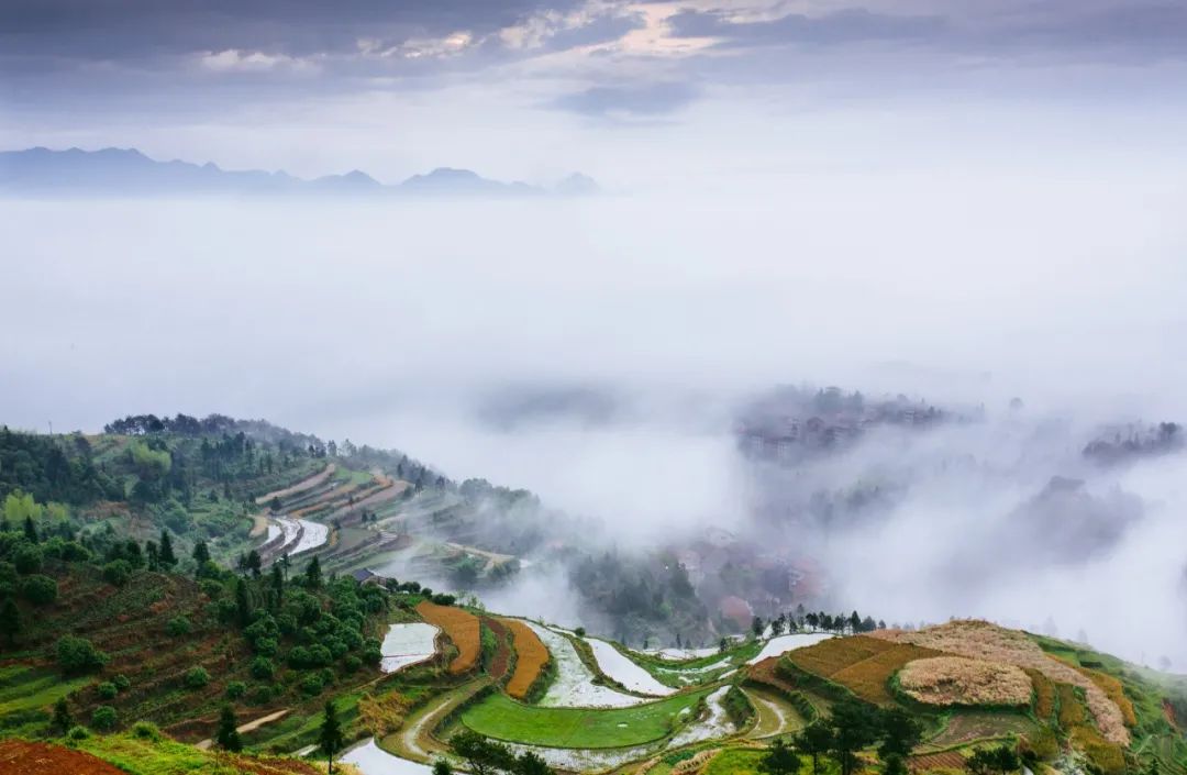 王勃的诗10首，篇篇千古流芳