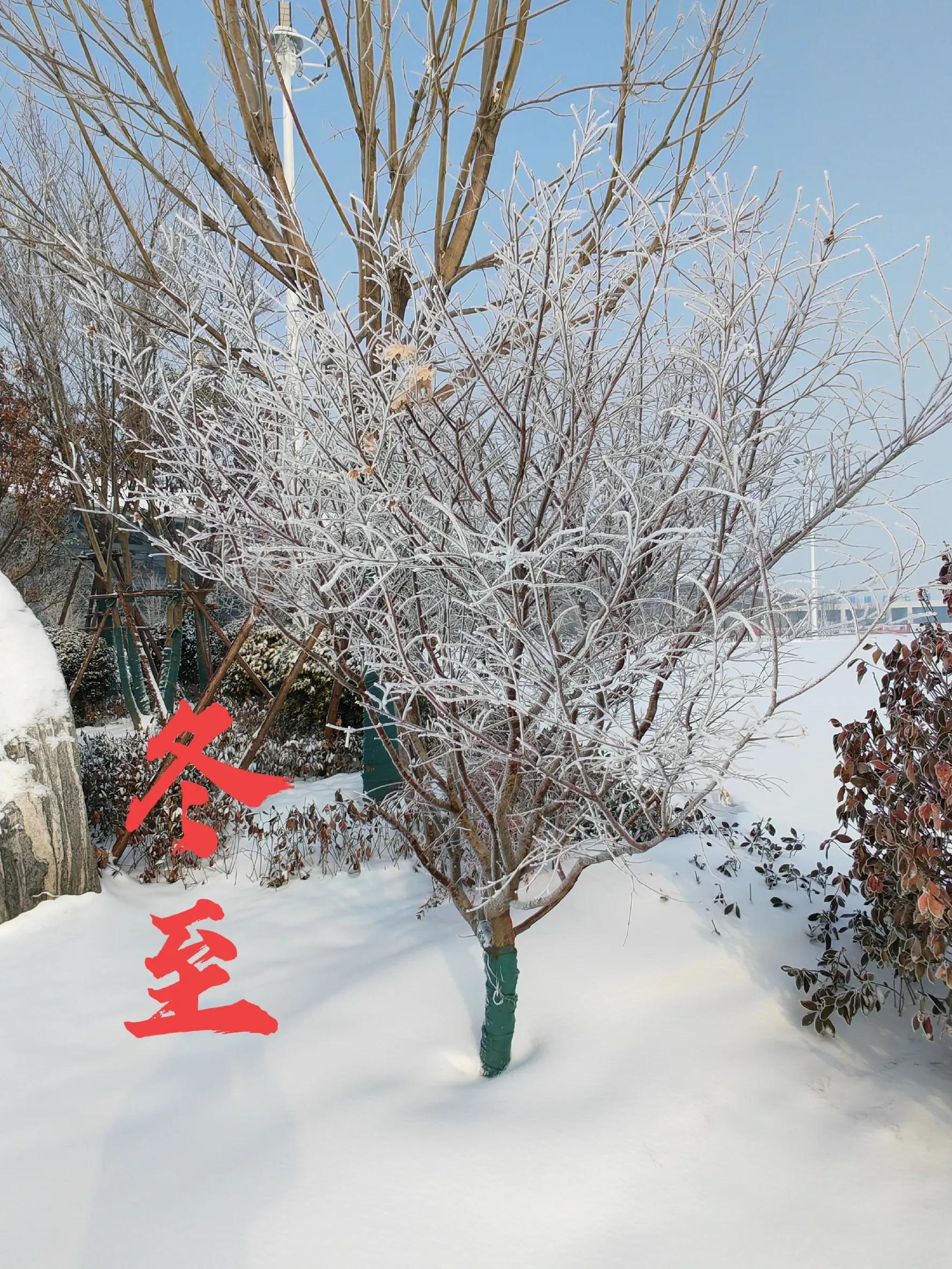 关于冬至的诗句10首（原文及赏析）