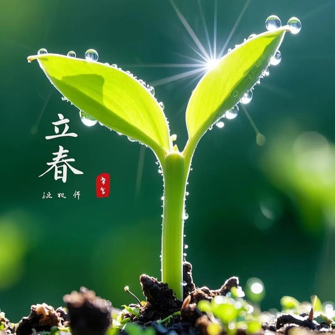 立春短句文案30句，不负春光，不负自己