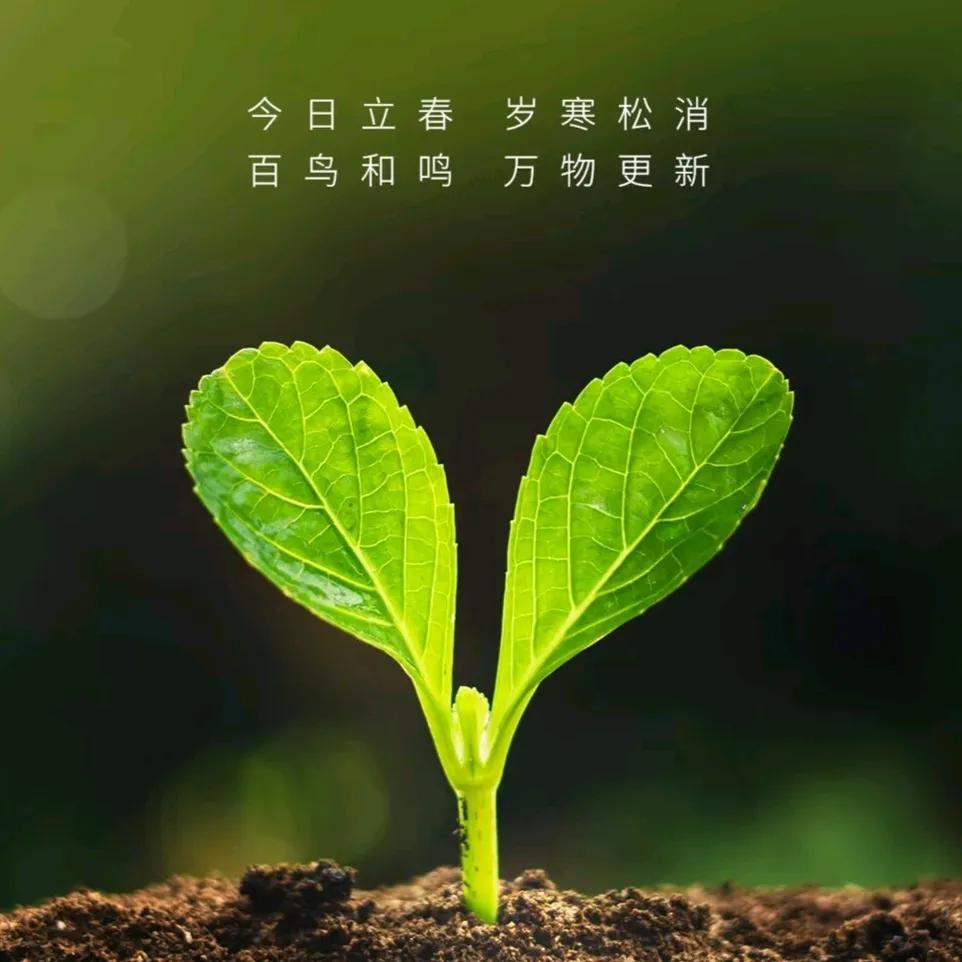 立春短句文案30句，不负春光，不负自己