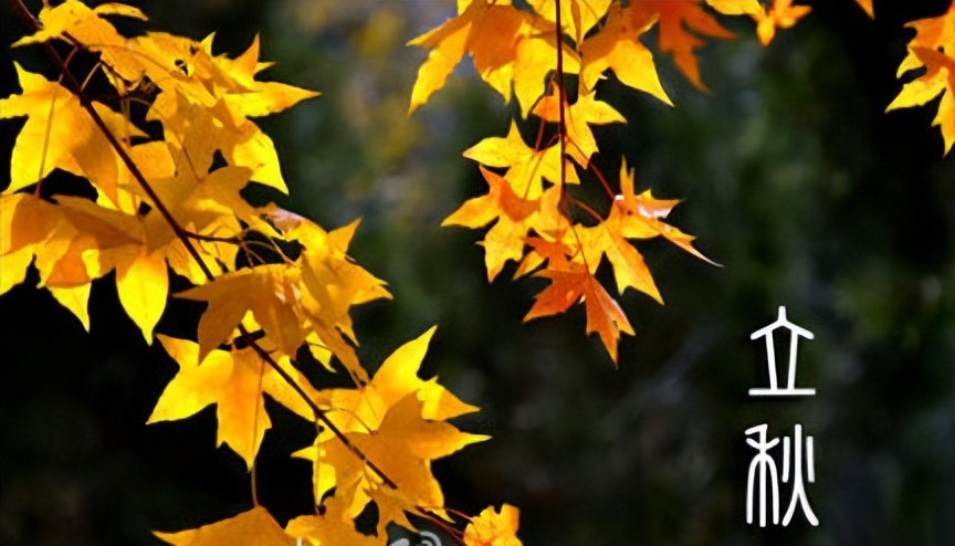 立秋文案40句，开启秋天之美