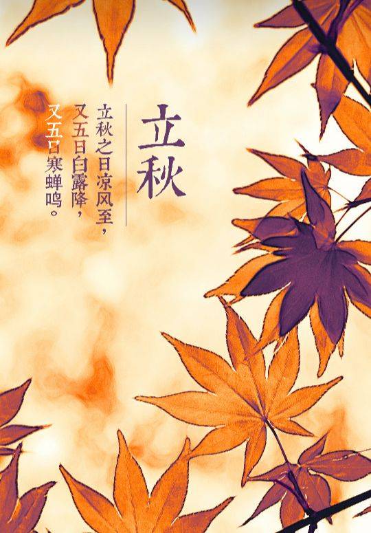 立秋文案40句，开启秋天之美