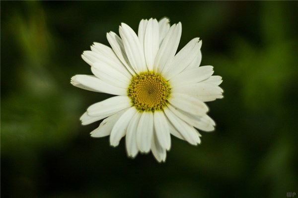 心态正能量的句子23句，精辟有内涵，句句温暖!