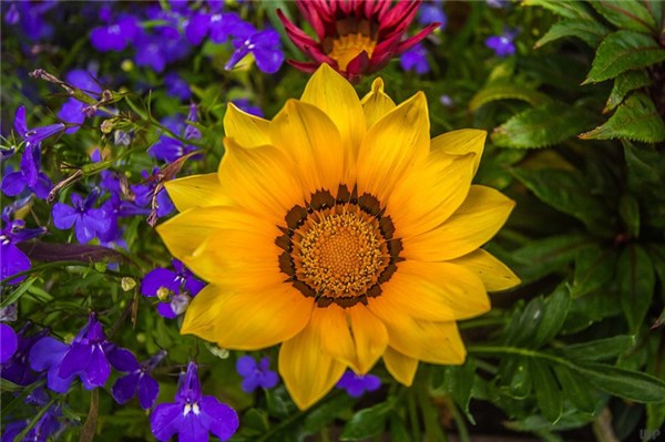 心态正能量的句子23句，精辟有内涵，句句温暖!