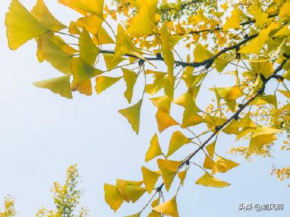 关于雪的句子15句，最美不过下雪天