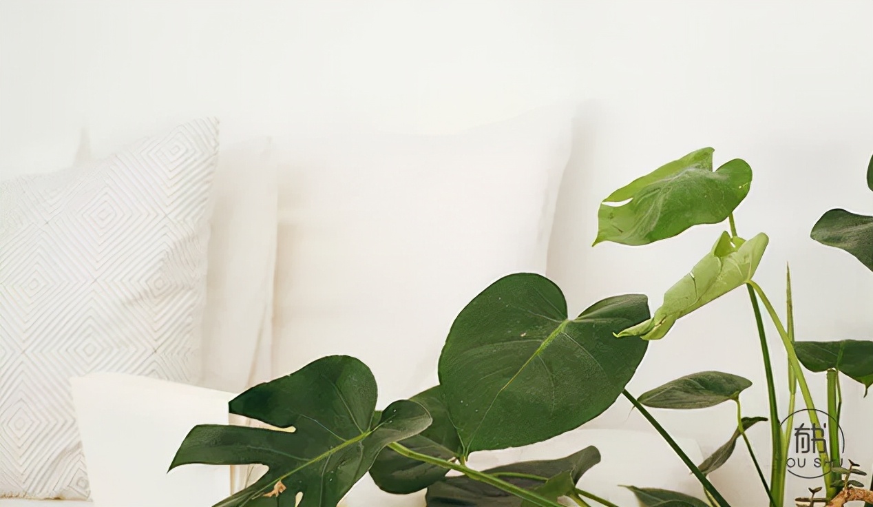 季羡林语录9句，熬过黑暗，必有阳光