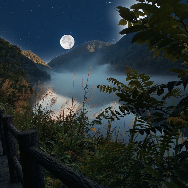 关于李白的诗10首（原文及赏析）