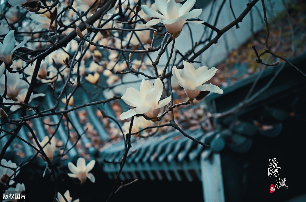 唐诗名句108句，一生至少读一次!