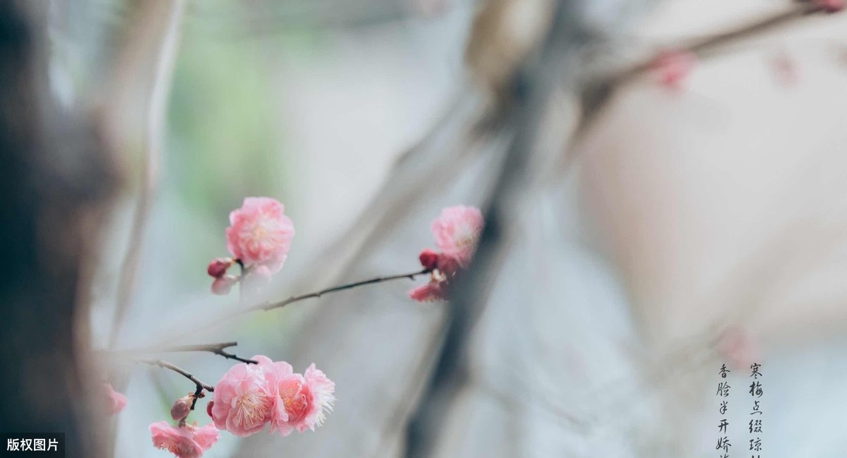 唐诗名句108句，一生至少读一次!