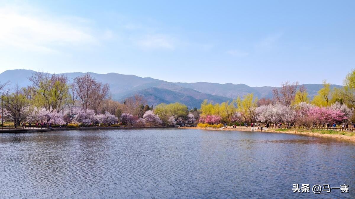 晚春韩愈（原文、译文及赏析）