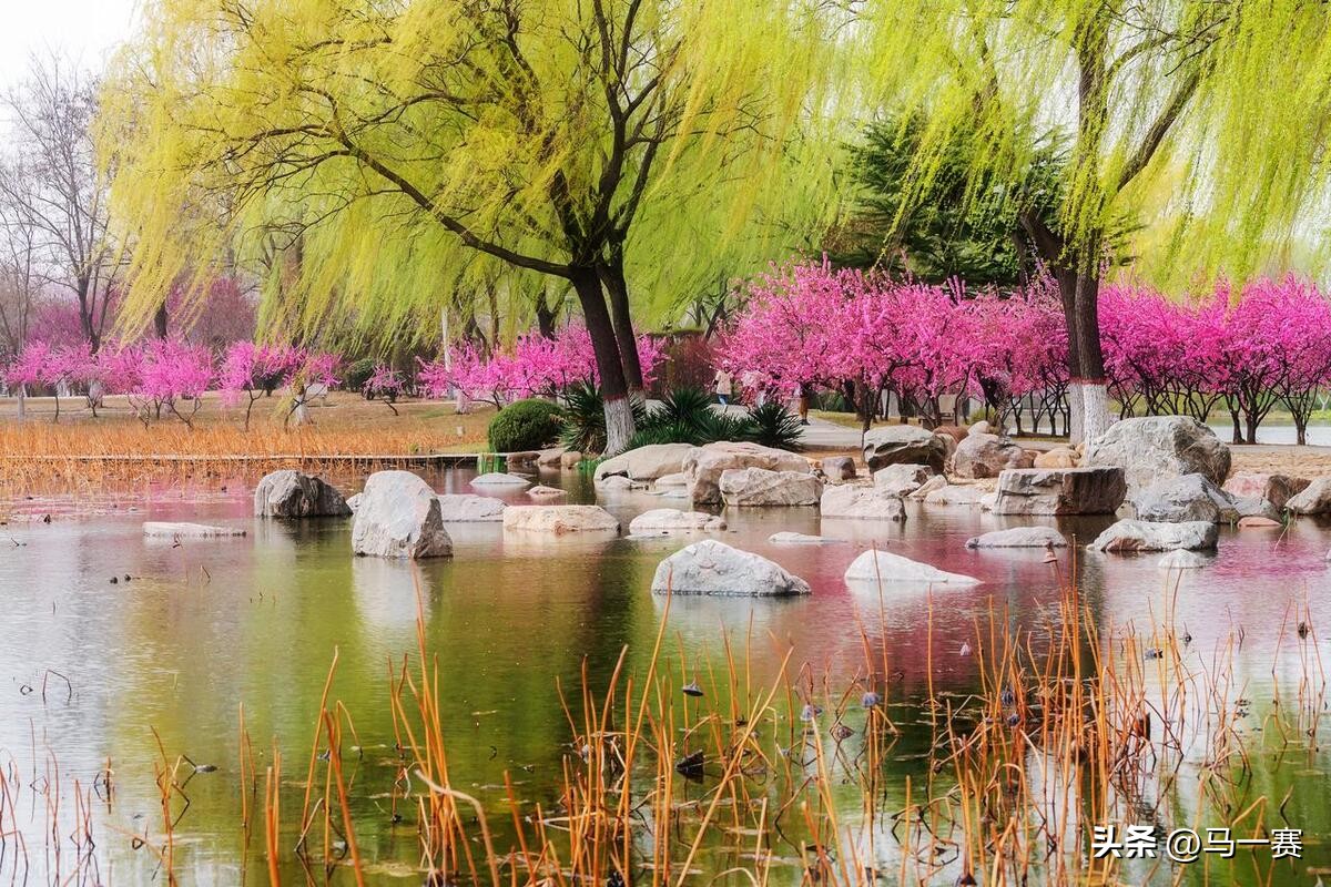 晚春韩愈（原文、译文及赏析）