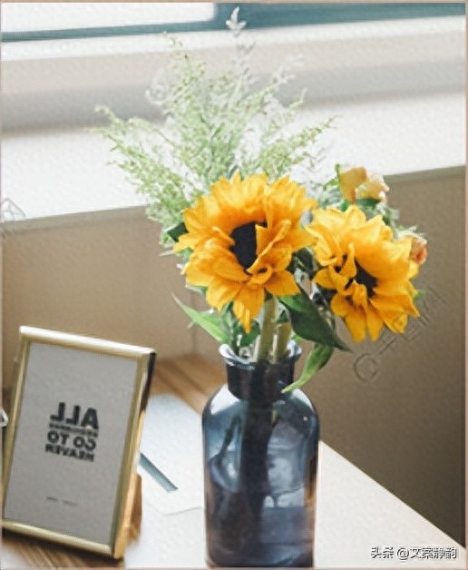 温暖的句子19句，温暖相伴在心