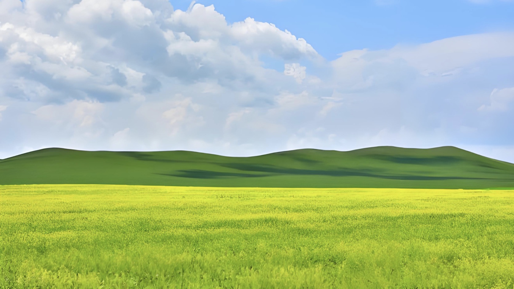 油菜花的诗句33首，油菜花，每一朵都在微笑