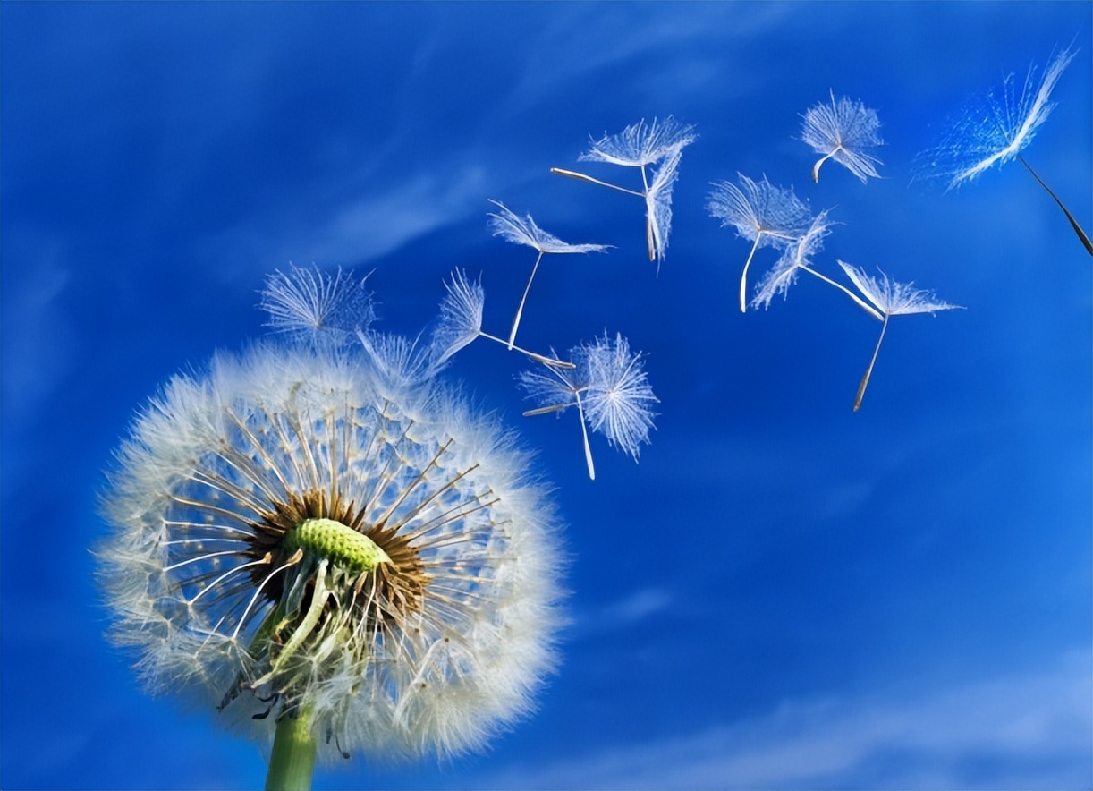 自律的励志话20句，句句都很激励人心