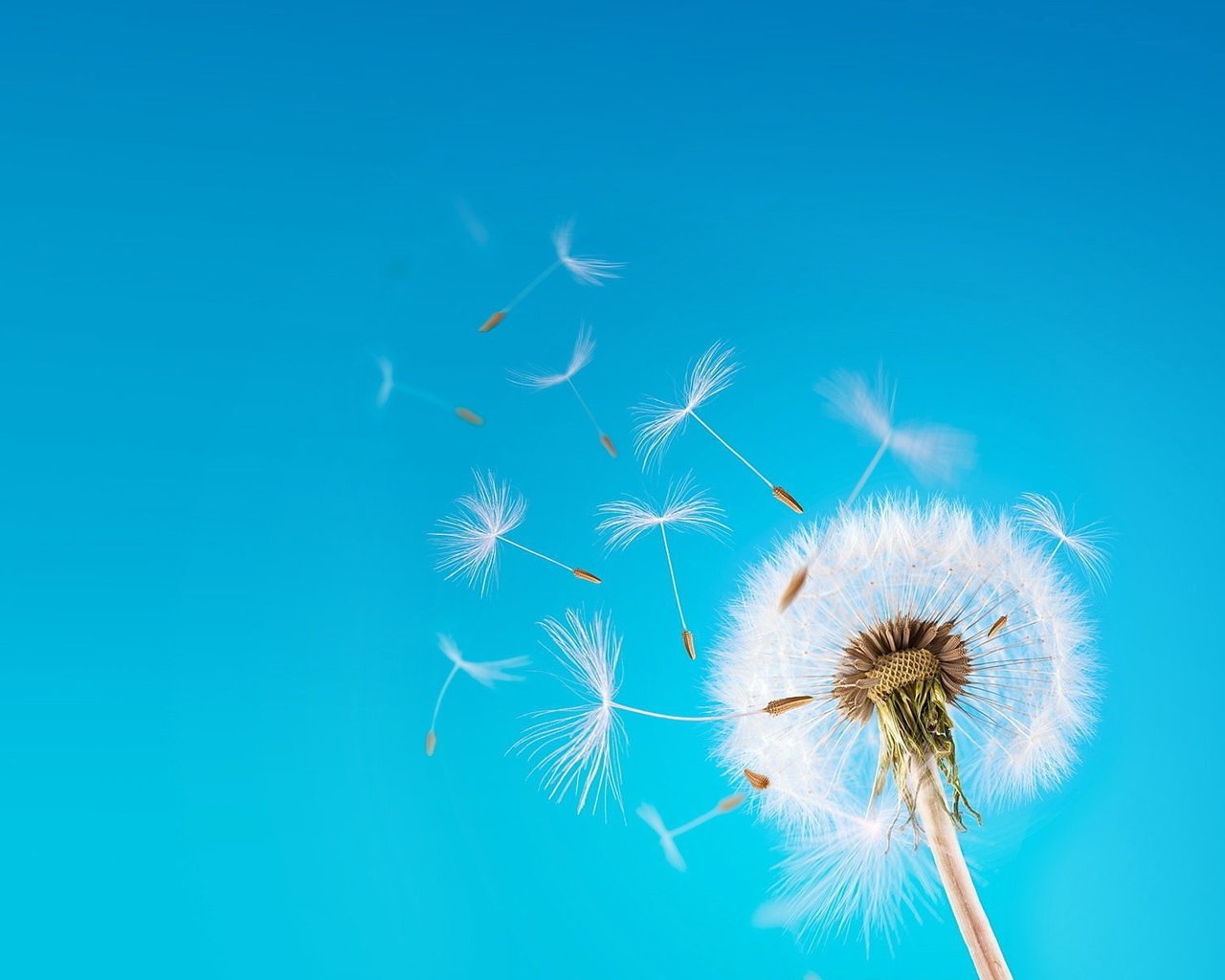 自律的励志话20句，句句都很激励人心