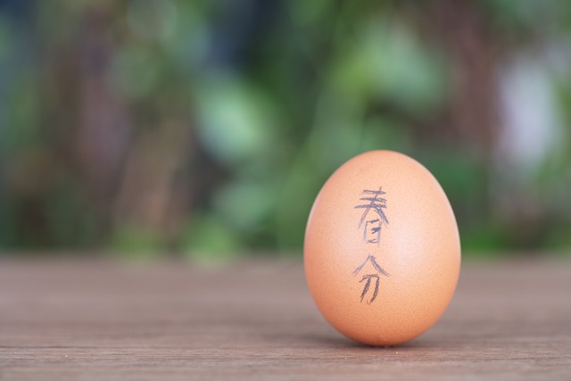 关于春分的唯美句子，捕捉春天的美