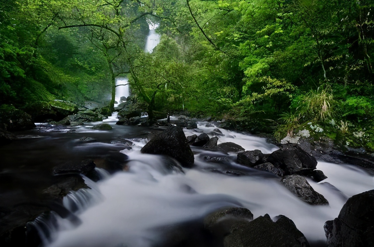 立夏的诗句唯美5首，诗情画意过立夏
