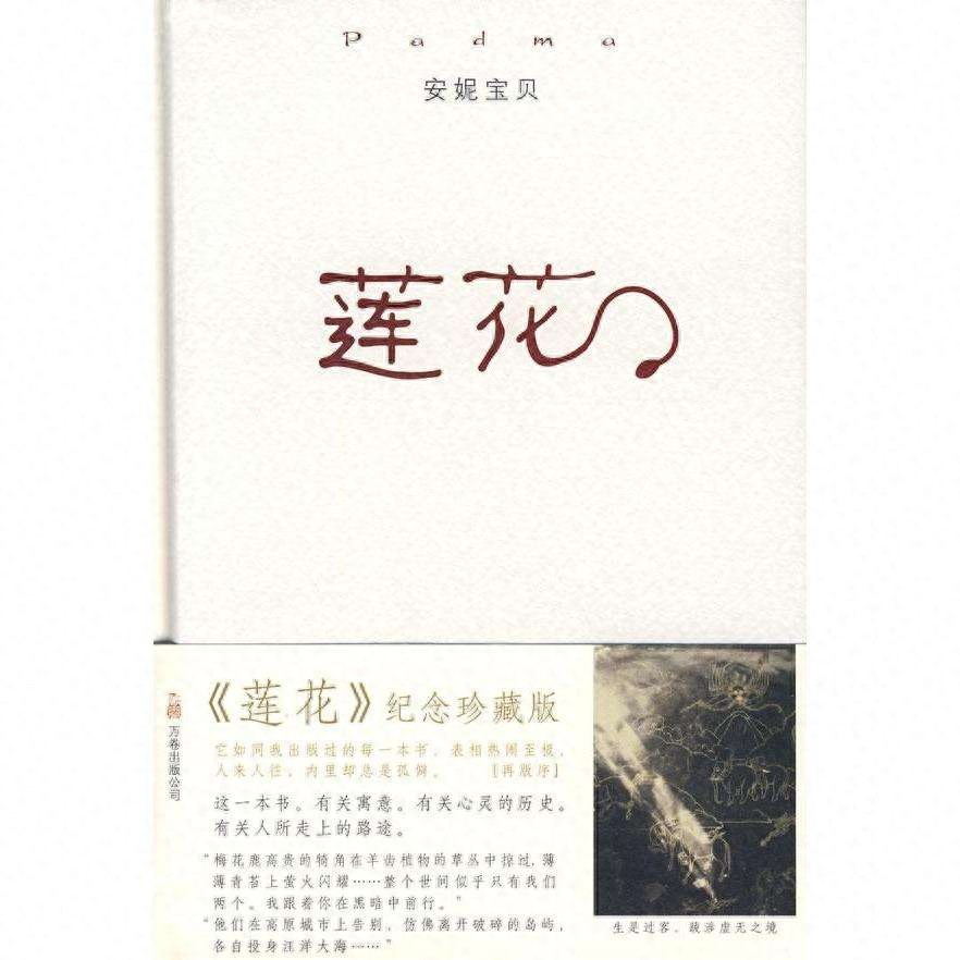 安妮宝贝经典语录10句，听到了自己内心的声音
