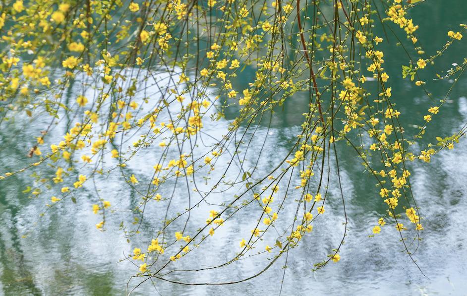 春分美好的诗词15首，带你览尽美好春光