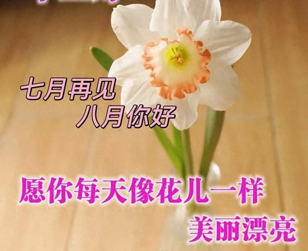 再见七月八月你好句子11句，善待自己，过好生活