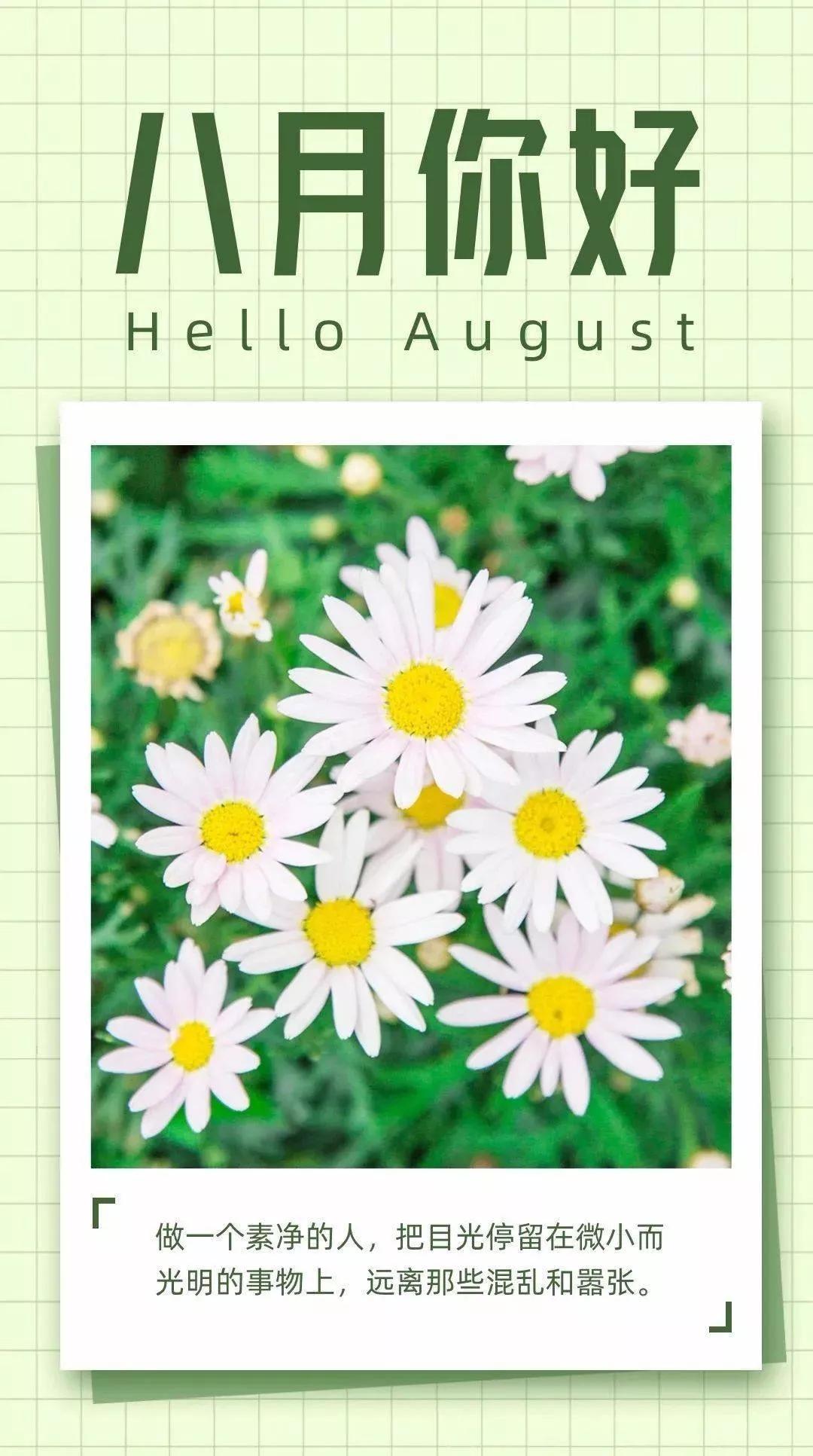 再见七月八月你好句子11句，善待自己，过好生活