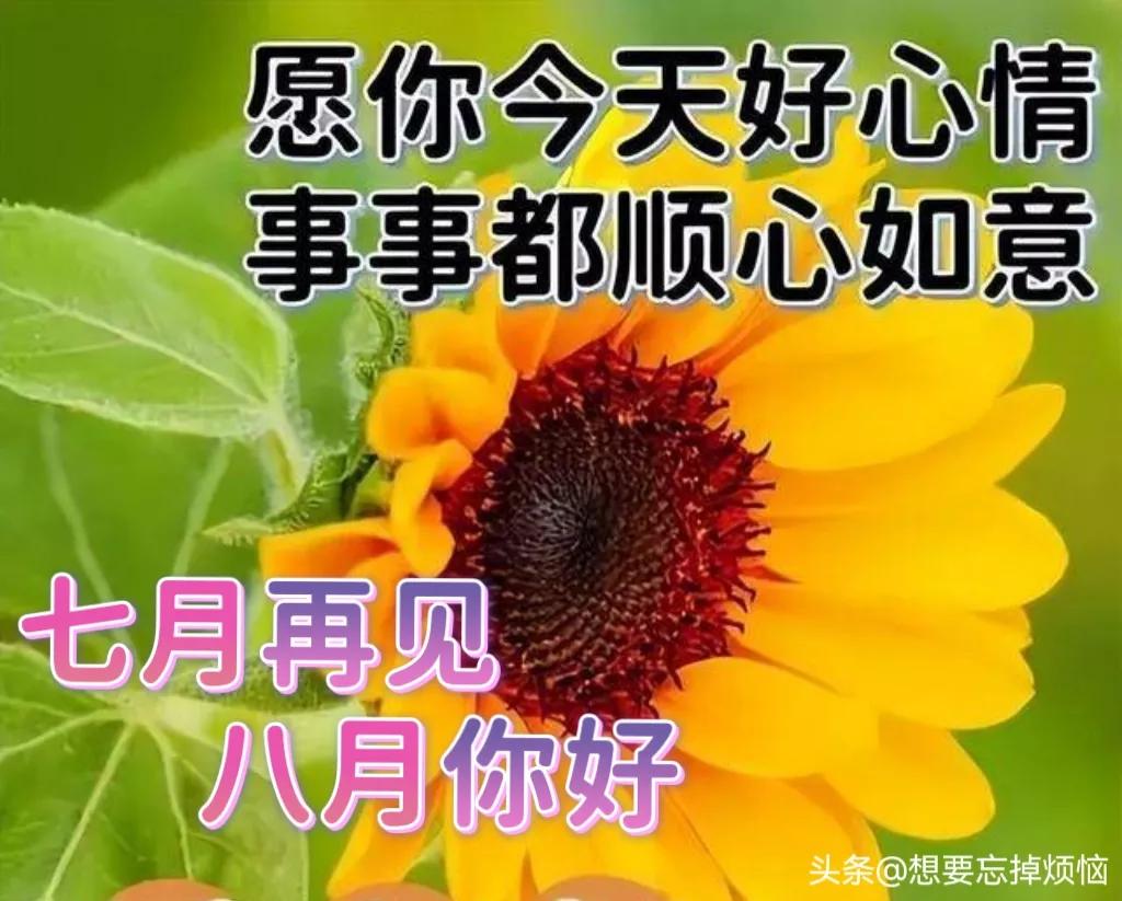再见七月八月你好句子11句，善待自己，过好生活