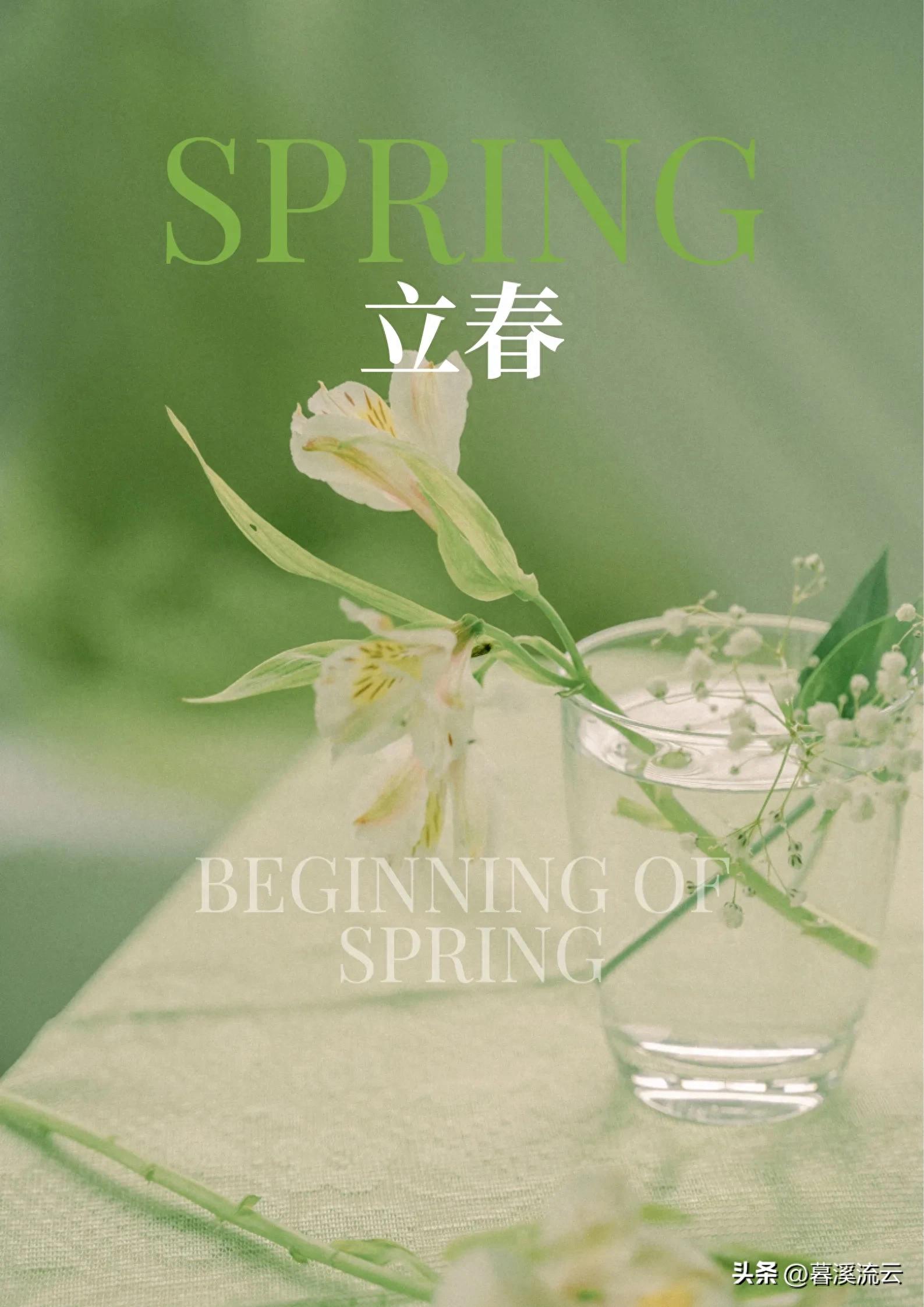 描写立春节气的古诗30句，春到人间草木知