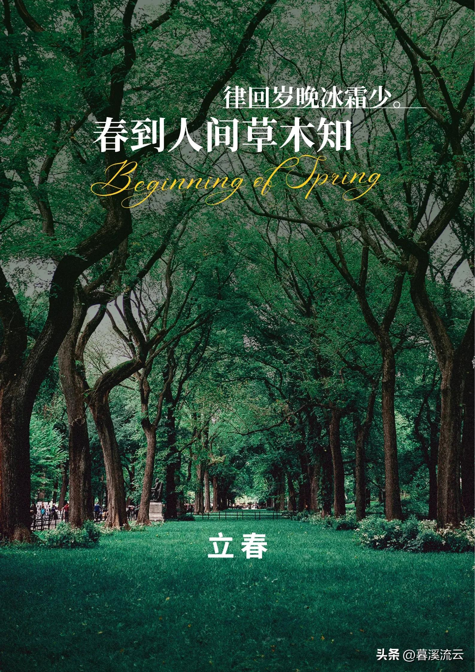 描写立春节气的古诗30句，春到人间草木知