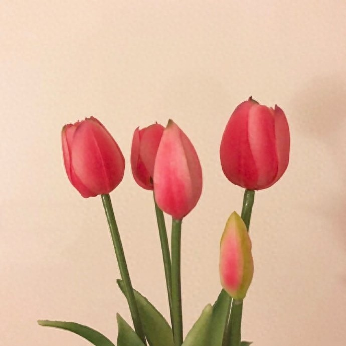 平安夜的句子20句，愿人间芳华，岁岁皆安