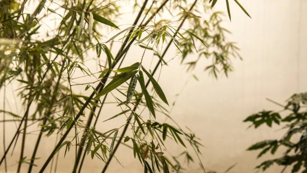 咏物的诗10首，寓意深远，韵味无穷