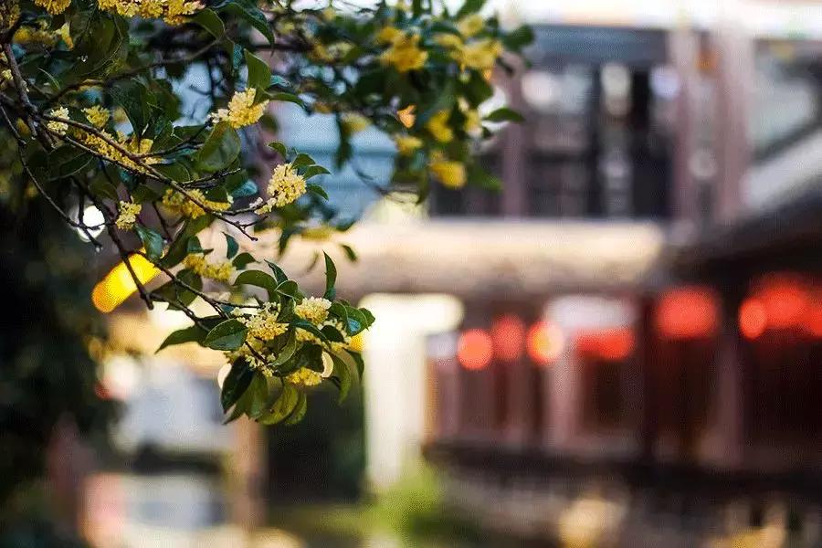 治家格言30句，讲明人生处世真相