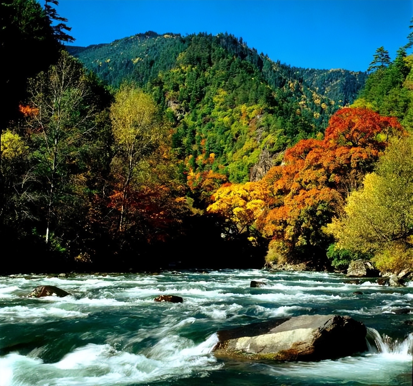 关于秋天的诗句12首，读来都是秋日胜春朝