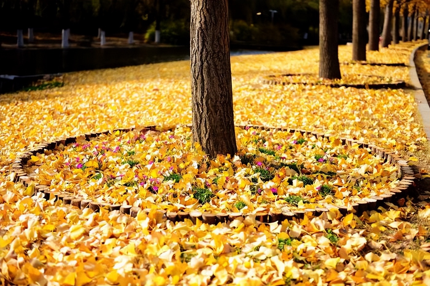 关于秋天的诗句12首，读来都是秋日胜春朝