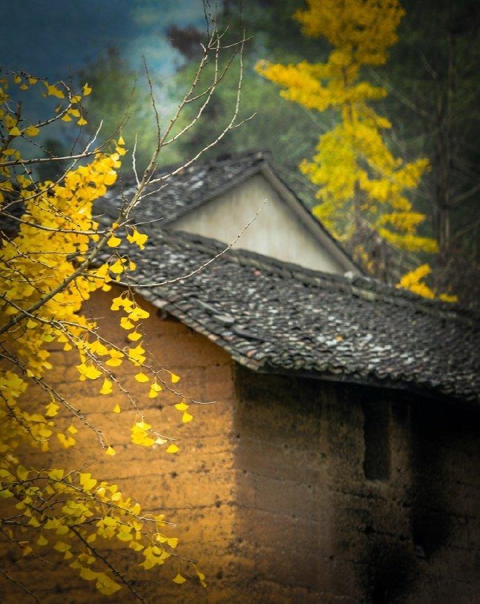 关于秋天的诗句12首，读来都是秋日胜春朝