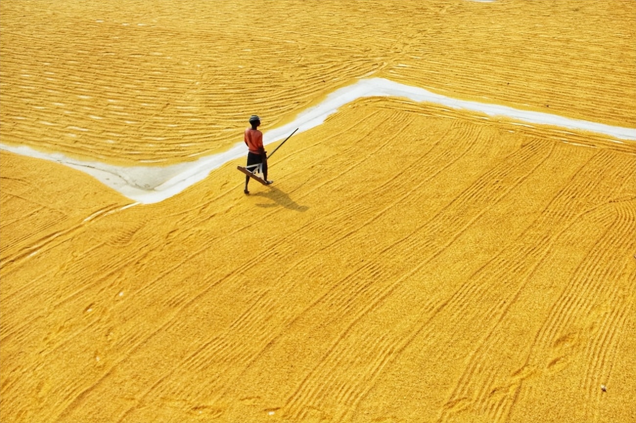 关于秋天的诗句12首，读来都是秋日胜春朝