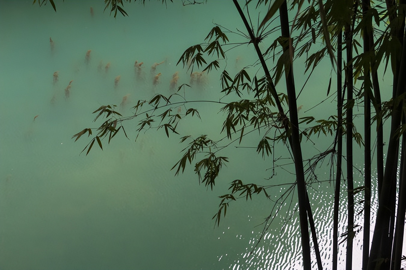 关于秋天的诗句12首，读来都是秋日胜春朝