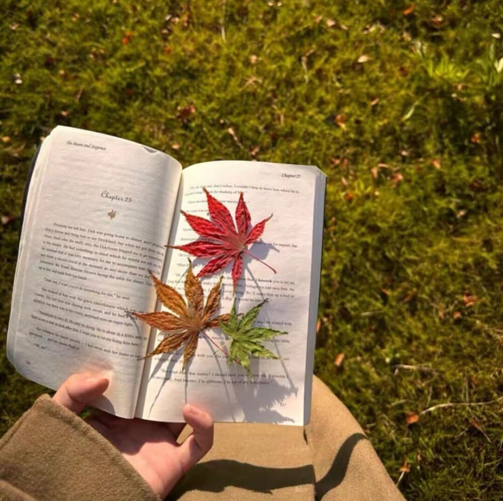 关于秋天的优美句子70句，凉风忽至，时序已秋