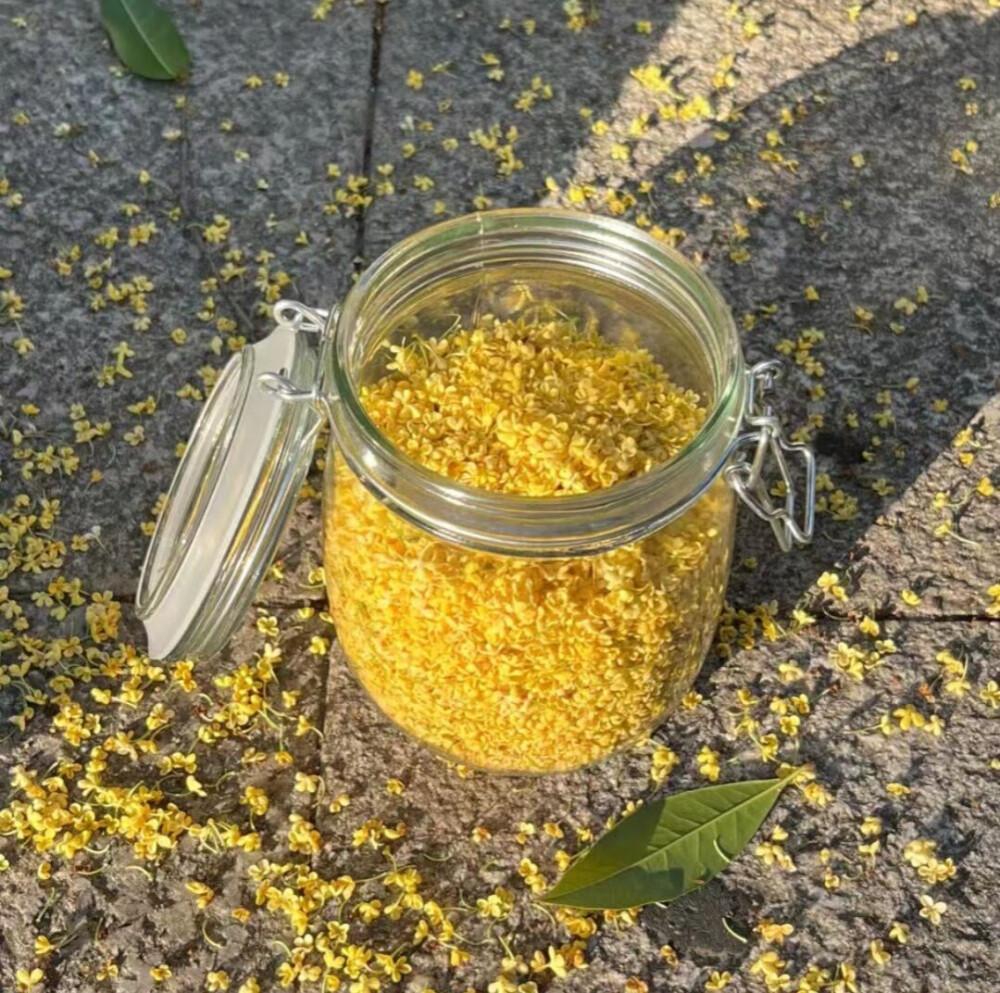 关于秋天的优美句子70句，凉风忽至，时序已秋