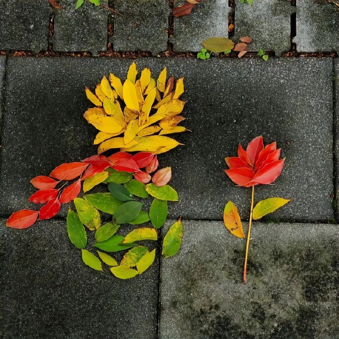 关于秋天的优美句子70句，凉风忽至，时序已秋