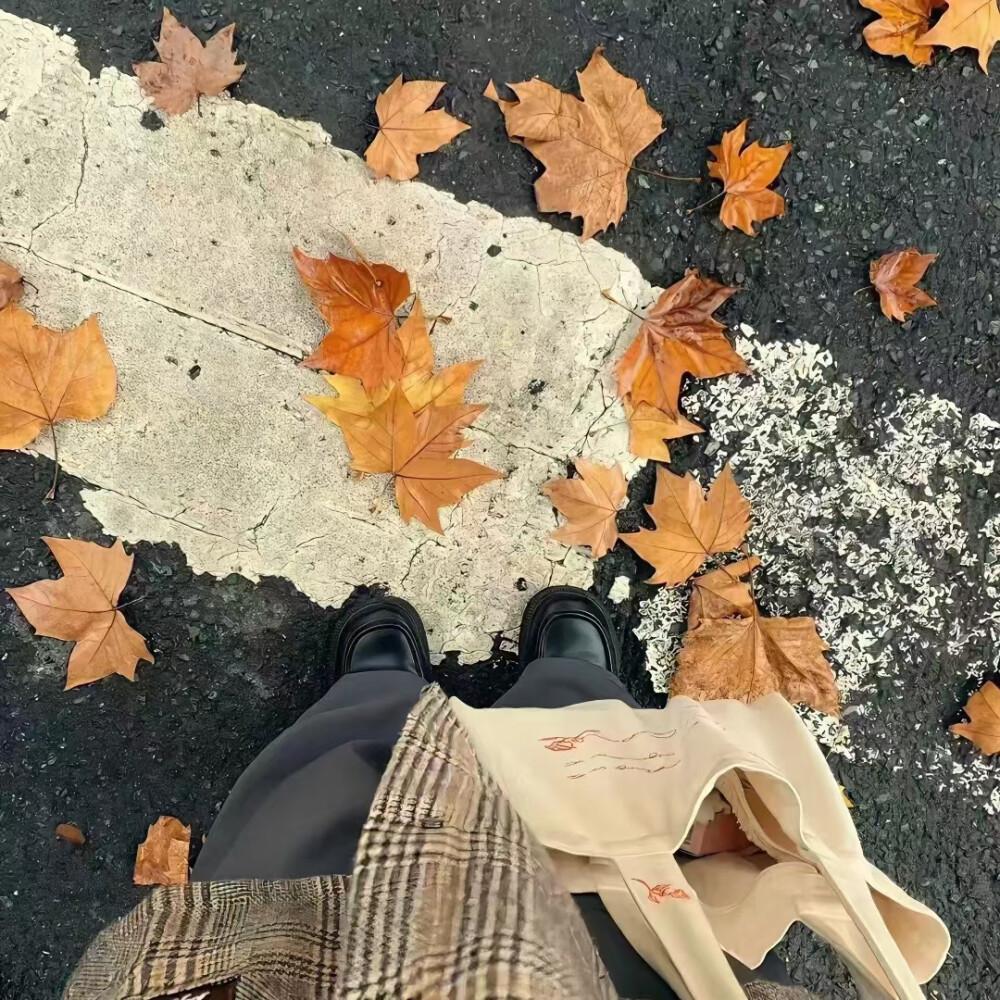 关于秋天的优美句子70句，凉风忽至，时序已秋