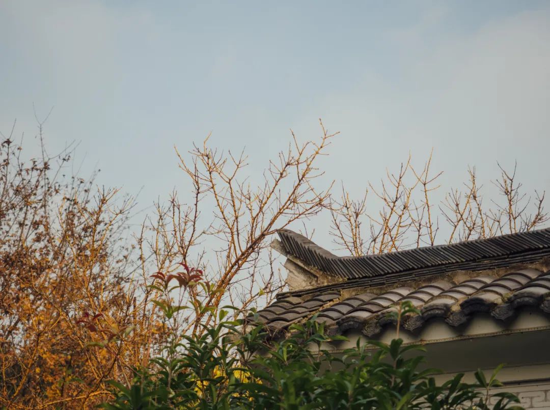 豪放的诗句12首，一生一定要读一次!