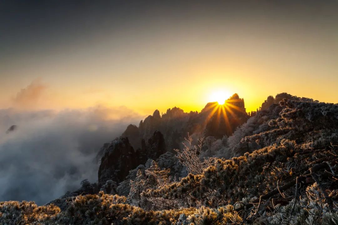 豪放的诗句12首，一生一定要读一次!