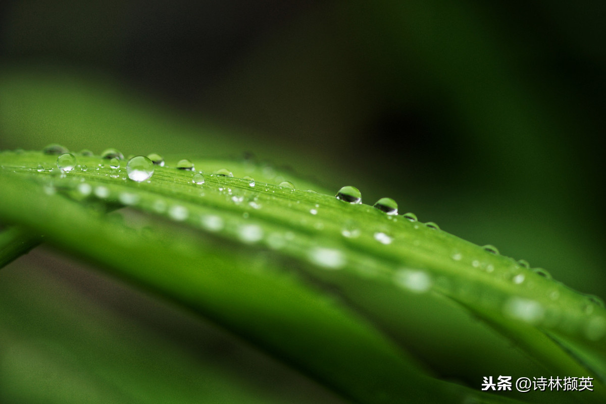 关于雨的古诗20首，美到令人心醉