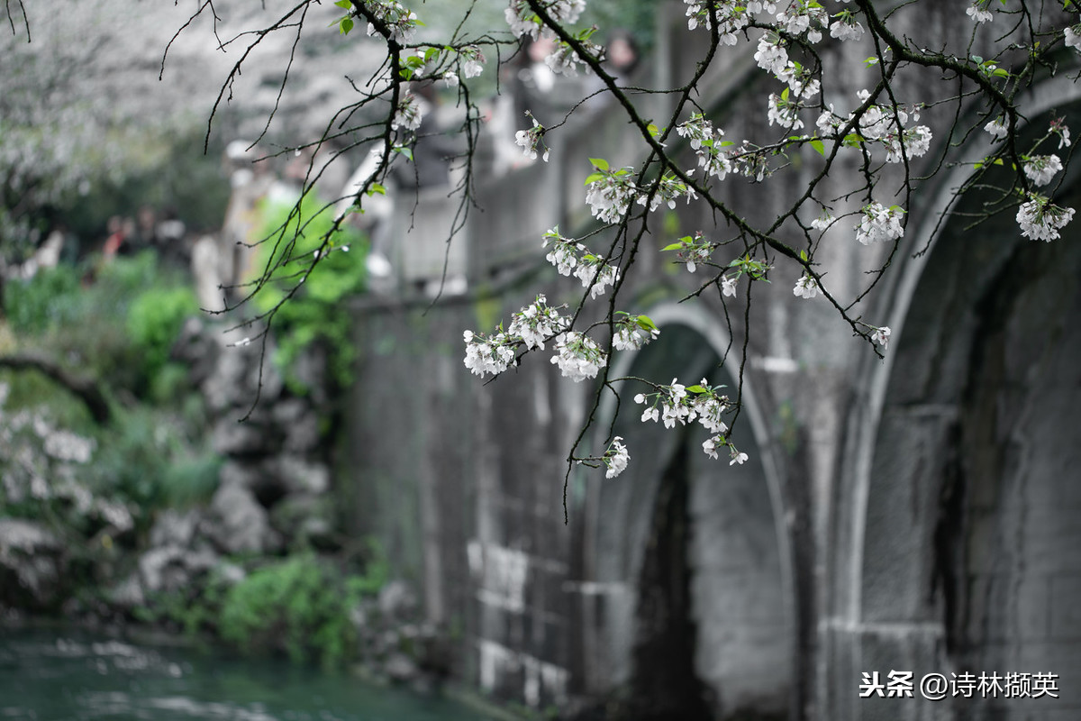 关于雨的古诗20首，美到令人心醉