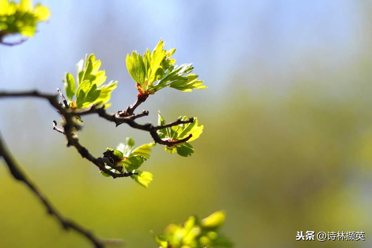 关于雨的古诗20首，美到令人心醉