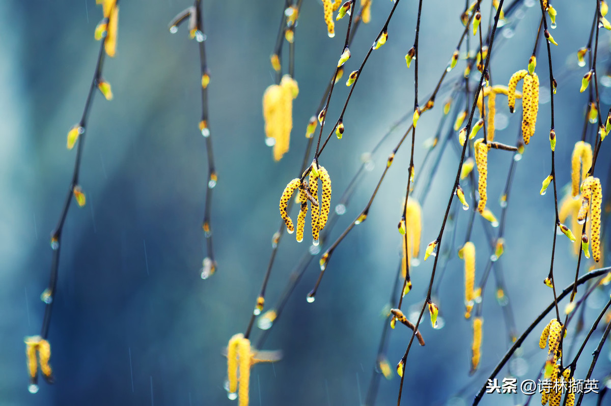 关于雨的古诗20首，美到令人心醉