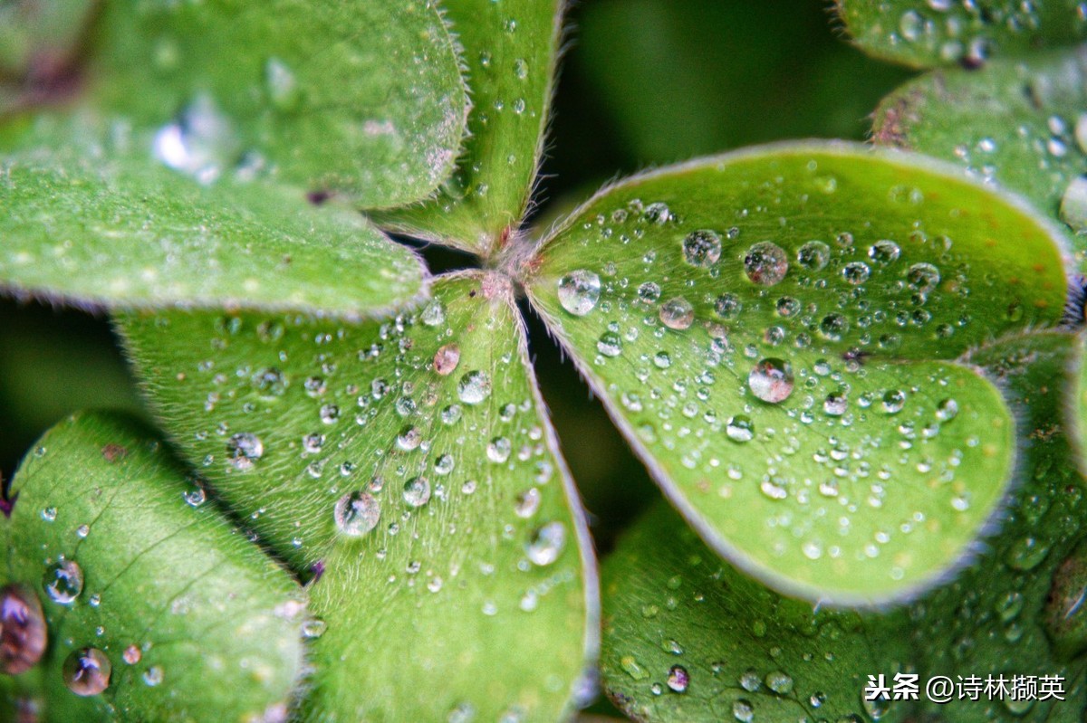 关于雨的古诗20首，美到令人心醉