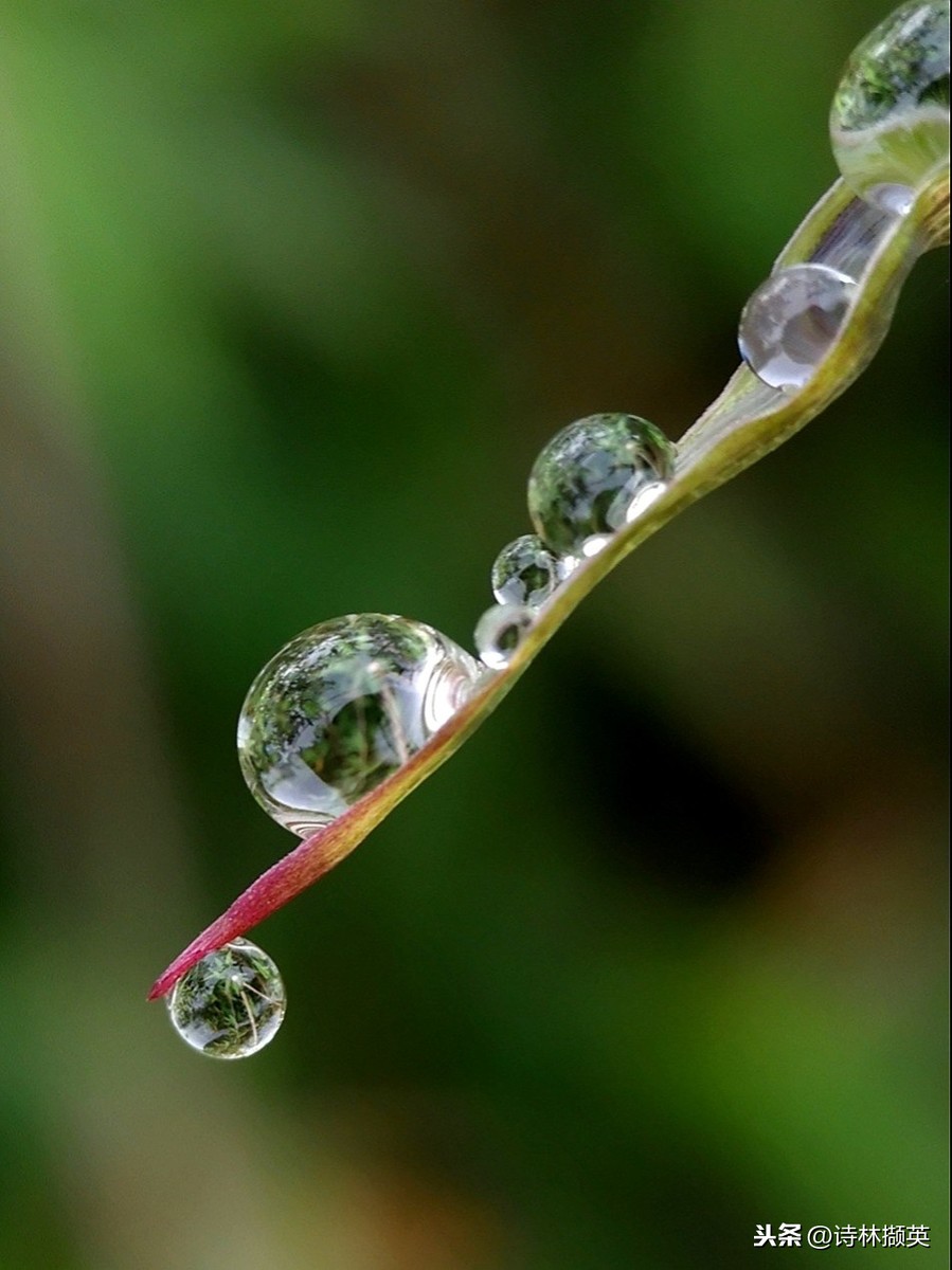 关于雨的古诗20首，美到令人心醉